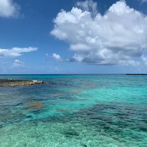 Meet your Posher, Steve